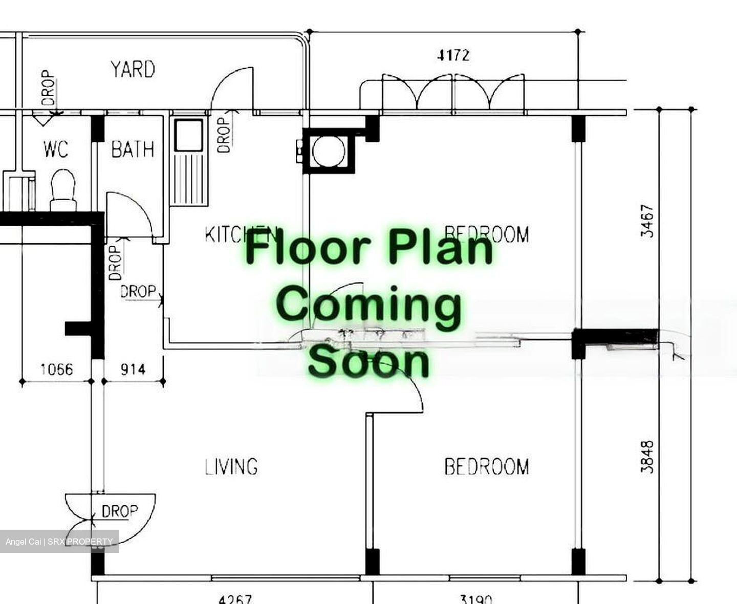 The Centrepoint (D9), Shop House #451378071